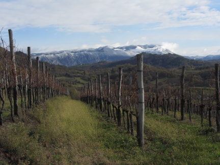 IMG 3618 Šmarski vinogradi zadaj zasneženi Nanos