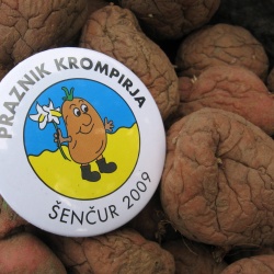 Praznik krompirja v Šenčurju - 05. in 06.06.2009