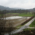 IMG 5396 Poplavljeno polje ob cesti Gobovce - Posavec