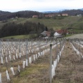 IMG 6311 Vodole-ekološka kmetija Valentan, zadaj vinogradništvo in vinotoč Mak