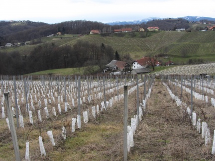 IMG 6311 Vodole-ekološka kmetija Valentan, zadaj vinogradništvo in vinotoč Mak