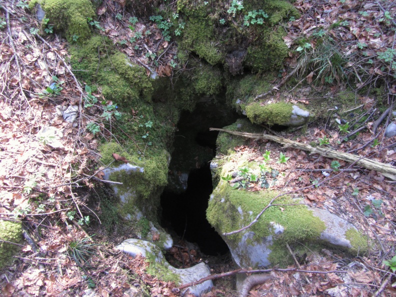 IMG_7831_Podzemeljska jama ob Jakobovi poti na Logaški planoti .jpg