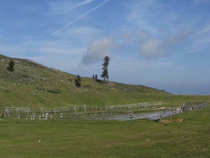 IMG 1734 Rosstratte (Konjska planina)