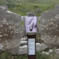 IMG 1826 Rosstratte (Konjska planina)-fosili