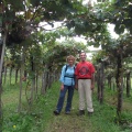 IMG 2002 Tomaj-v Pipanovem vinogradu
