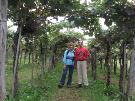IMG 2002 Tomaj-v Pipanovem vinogradu