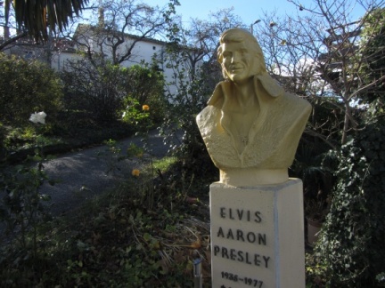 IMG 3625 Vrtovče-Elvis Presley