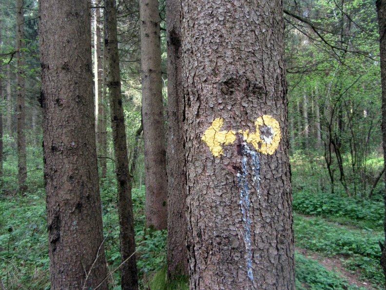 IMG_6731_Oznaka v gozdu blizu Trboj.JPG