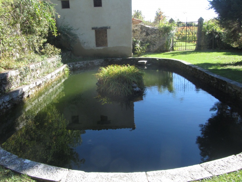 IMG_1016_Kobdilj-posestvo Fabiani-stalni kraški izvir vode-ribnik.jpg