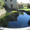 IMG 1016 Kobdilj-posestvo Fabiani-stalni kraški izvir vode-ribnik