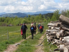 IMG 2429 Do cilja po grebenu do Bukovca na Žirovskem vrhu