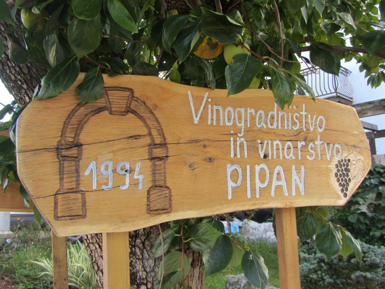 IMG_6301_Vinogradništvo in vinarstvo Pipan v Križu pri Sežani.jpg