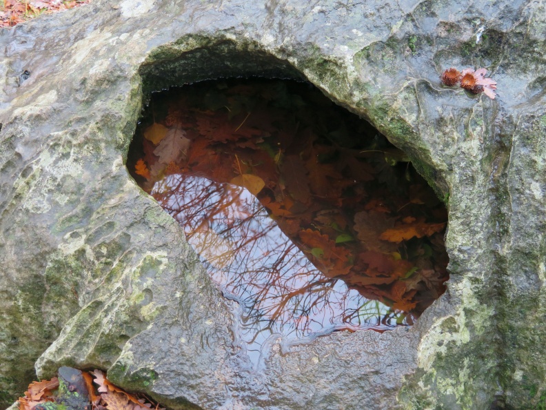 IMG_0042_Škavnica (vdolbina v kamnu z deževnico) ob Teranovi krožni poti Dutovlje.JPG