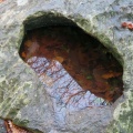 IMG 0042 Škavnica (vdolbina v kamnu z deževnico) ob Teranovi krožni poti Dutovlje