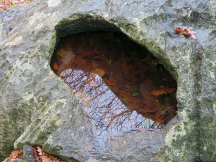 IMG 0042 Škavnica (vdolbina v kamnu z deževnico) ob Teranovi krožni poti Dutovlje