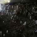 IMG 1822 Krška jama