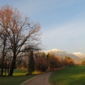 IMG 6875 Golf igrišče Bled s Stolom in Vrtačo v ozadju