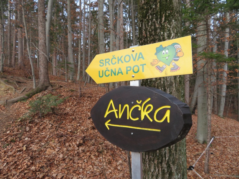 IMG_7330_Smerokaz Srčkove učne poti proti Izletniški kmetiji Ančka v Borku.JPG