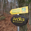 IMG 7330 Smerokaz Srčkove učne poti proti Izletniški kmetiji Ančka v Borku