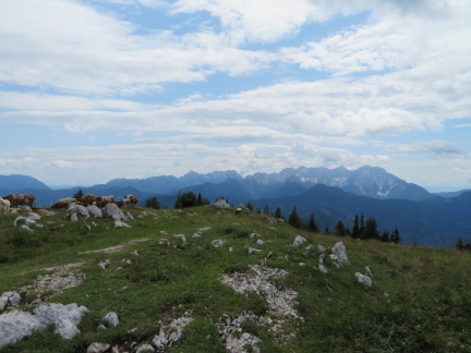 IMG 1808 Kamniško-Savinjske Alpe z Napoleonovega travnika-Kraguljše