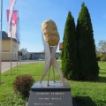 IMG 3230 Belica-spomenik krompirju
