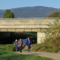 IMG 3325 Pod štajersko avtocesto proti Rogozi, zadaj Pohorje