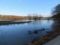 IMG 4031 Poplavljeni travniki med Varošem in Dežnim
