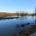IMG 4031 Poplavljeni travniki med Varošem in Dežnim