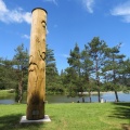 IMG 6438 Rakiško jezero-spomin na Brinarjevo jelko (kiparka Urška Toman)