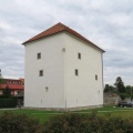 IMG 8571 Slovenska Bistrica-Grasslov stolp