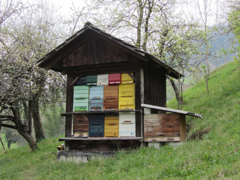IMG_3777_Vrba-Blažičev čebelnjak.jpg