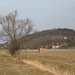 Krog in po Parenzani do Pirana - 04.03.2012