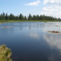 IMG 2126 Ribniško jezero