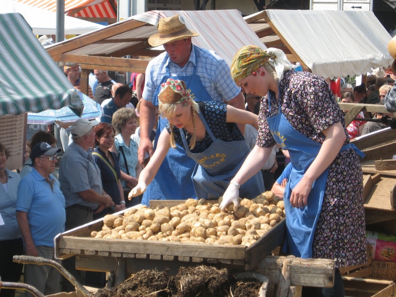 IMG 1372 Krompirjeva povorka-Godlarji-prikaz prebiranja krompirja po starem