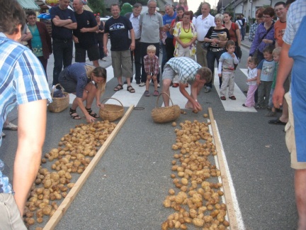 IMG 1481 Tekmovanje v pobiranju krompirja-cvičkova princesa Vesna Komatar