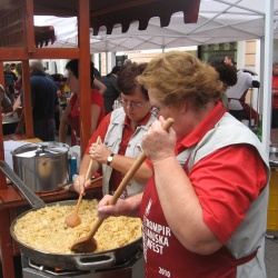 Kranfest - tekmovanje v praženju krompirja - 31.07.2010