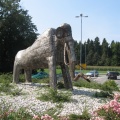 IMG 0997 Kokrica-mamut