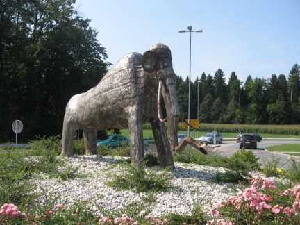IMG 0997 Kokrica-mamut