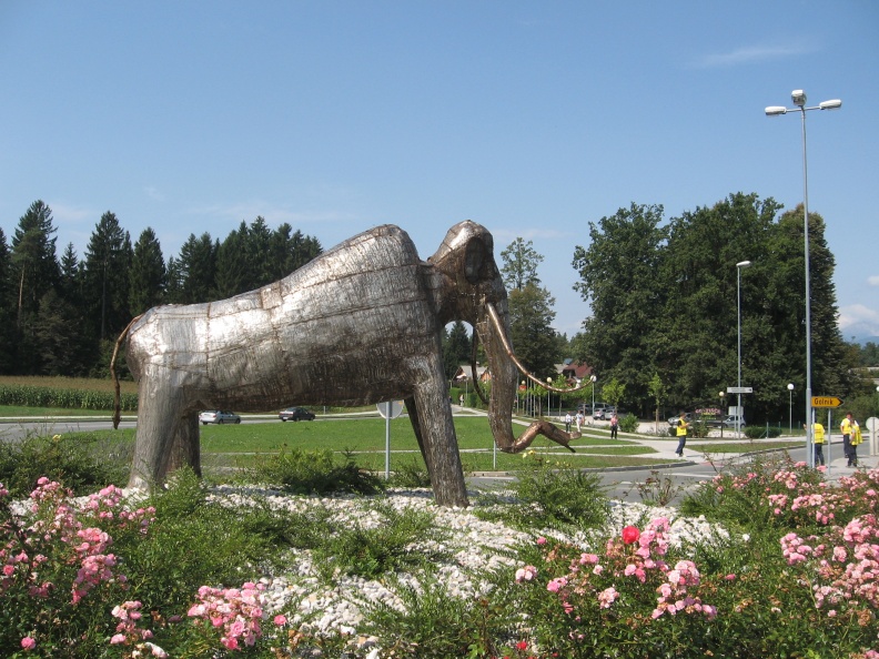 IMG 0998 Kokrica-mamut