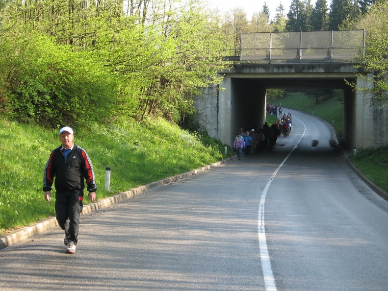 IMG_7880_Pod avtocesto Šenčur-Voklo.jpg
