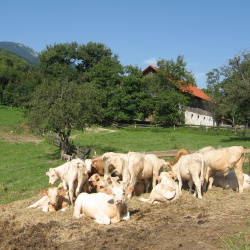 Uršlja gora - 12.07.2008