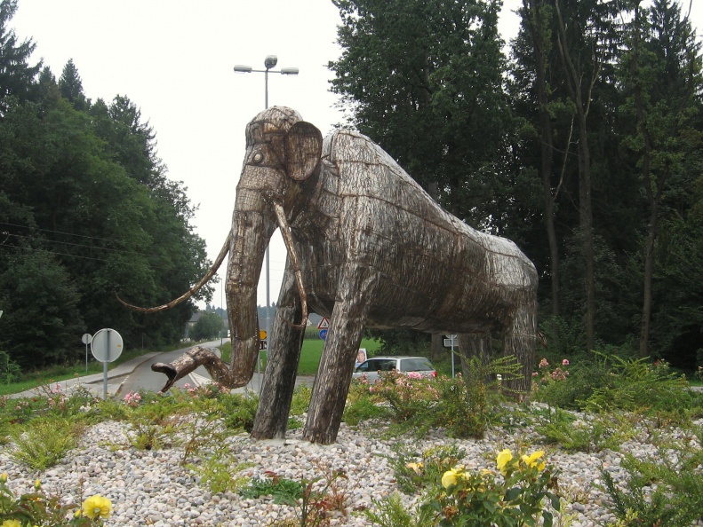 IMG_2886_Kokrica-mamut.jpg