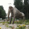 IMG 2886 Kokrica-mamut