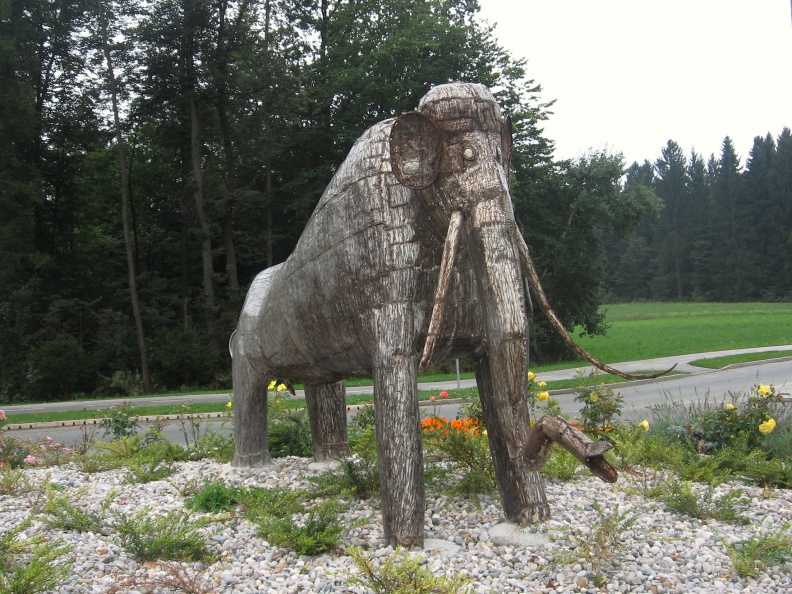IMG_2893_Kokrica-mamut.jpg