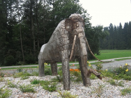 IMG 2893 Kokrica-mamut