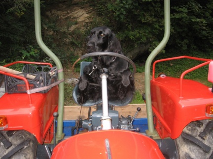IMG 2691 Firšt-Dasti na traktorju