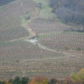 IMG_3479_Snežinke nad šmarskimi vinogradi.jpg
