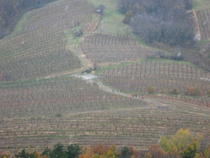 IMG 3479 Snežinke nad šmarskimi vinogradi