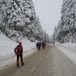 Osankarica - po poteh Pohorskega bataljona - 07.01.2006
