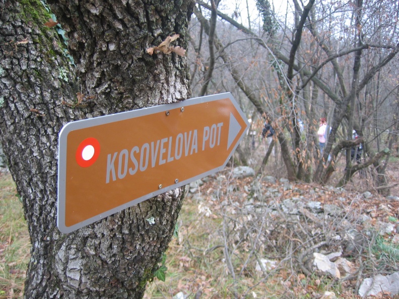 320_2067 Kosovelova pot.JPG